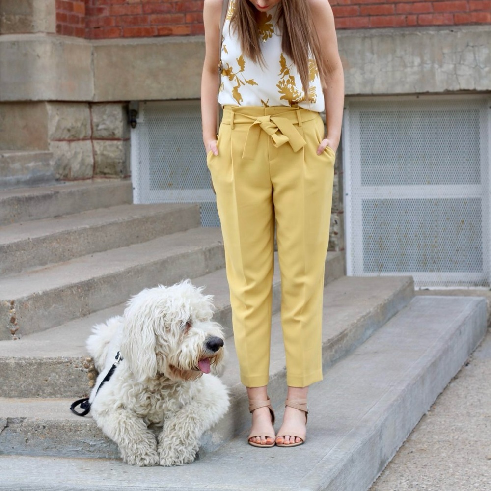 Simons yellow tie pants